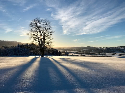 Awesome trilletur - Noe av det beste med pappaperm er at det blir tid til trilleturer.